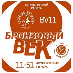 Господин Музыкант BV11 - струны для акустической гитары, 011-051 10151 - фото 6003