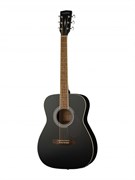 Parkwood PF51E-WBAG-BKS электроакустическая гитара с чехлом 10228