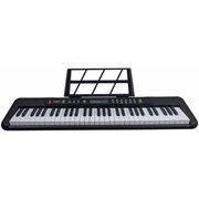 Terris TK-500 BK - синтезатор, 61 клавиша, акт. клав., микрофон, цвет черный 10095