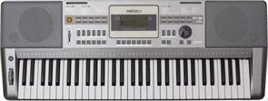 A100 Синтезатор, 61 клавиша, Medeli A100