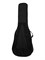 Cort CAP-810-OP Trailblazer акустическая гитара с чехлом и аксессуарами 10041