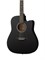 Fante FT-221-BK Акустическая гитара 41", с вырезом, черная 10249