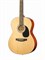 Homage LF-3900 акустическая гитара 10256