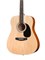 Homage LF-4100-N акустическая гитара, цвет натуральный 10258
