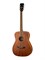 Parkwood PF51M-WBAG-OP акустическая гитара с чехлом 10263 - фото 5004