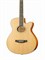 Homage LF-401C-N акустическая гитара 10270
