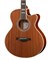 Ramis RA-C02C Акустическая гитара, с вырезом 10377