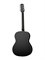 Naranda CAG280BK Акустическая гитара, черная 10480