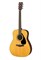 F310-NT Гитара акустическая, Yamaha F310-NT